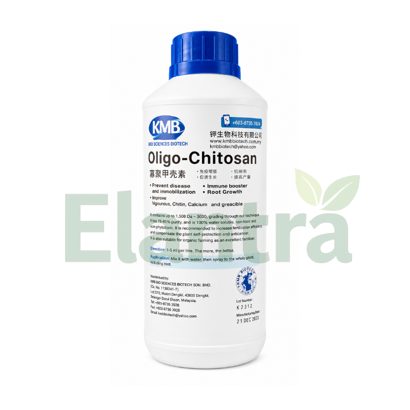 OLIGO CHITOSAN